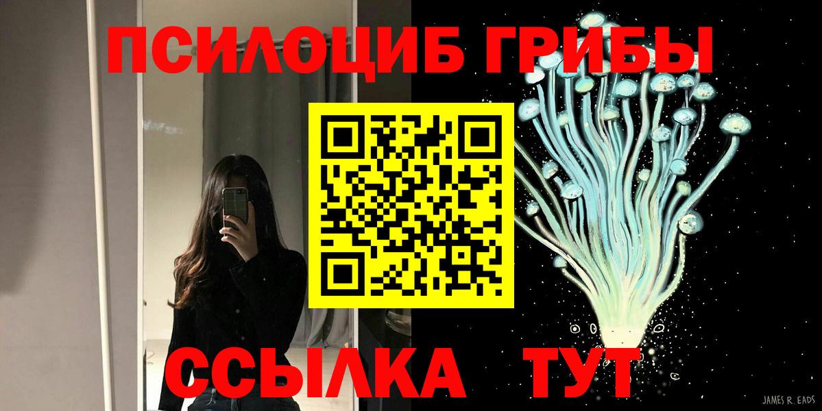 Галлюциногенные грибы GOLDEN TEACHER  Вход с VPN  Псилоцибиновые грибы MAGIC MUSHROOMS  Ярославль 