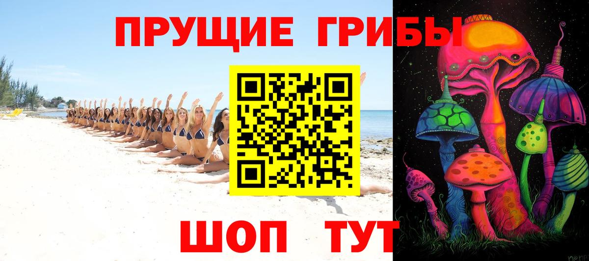 Псилоцибиновые грибы прущие грибы Ярославль